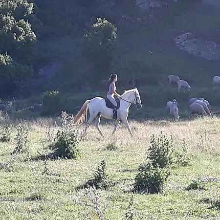 Quinta Da Torre - Landsted