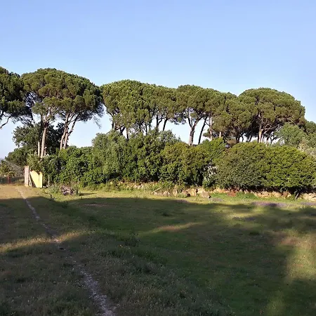 Casa rural Quinta Da Torre - Óbidos